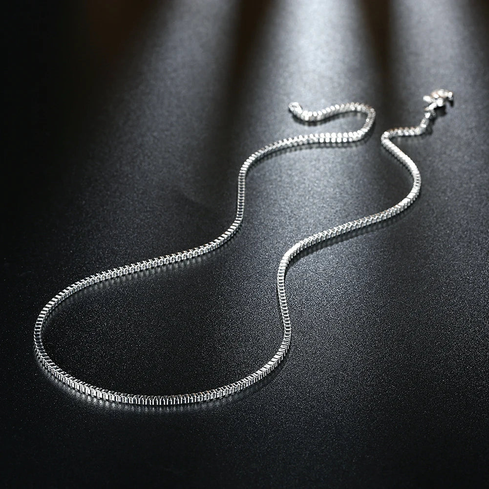 Silver Chain